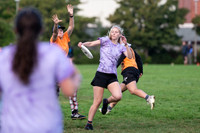 Beaver Brawl 2025