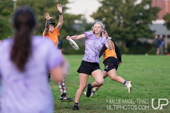 Beaver Brawl 2025