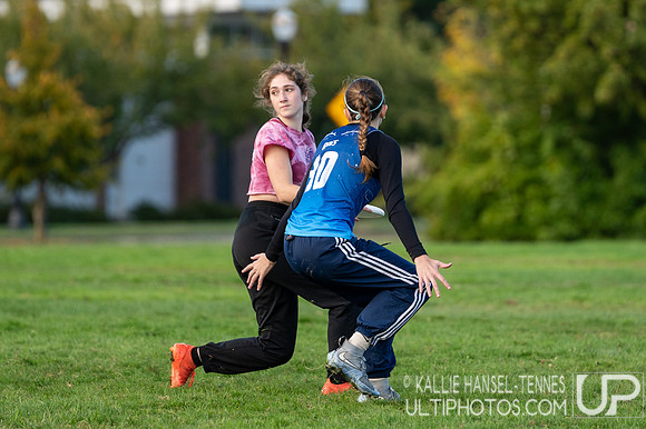 Beaver Brawl 2025