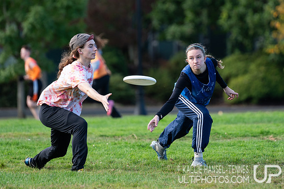 Beaver Brawl 2025