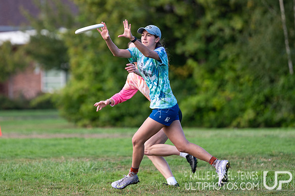 Beaver Brawl 2025