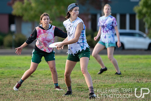 Beaver Brawl 2025