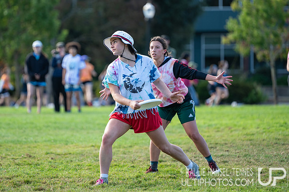 Beaver Brawl 2025