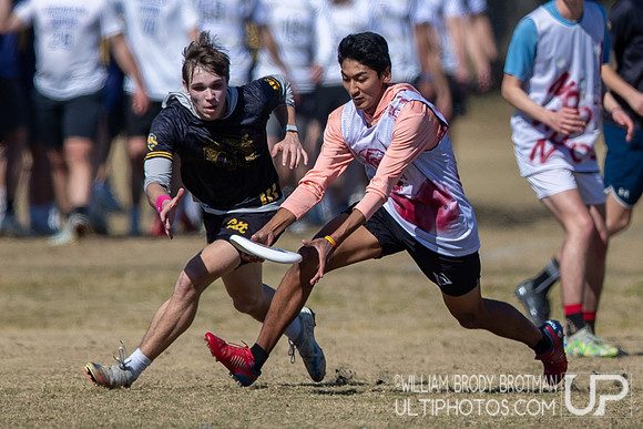 Day 1 at the 2026 Florida Warm Up