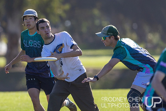 2026 Stanford Open