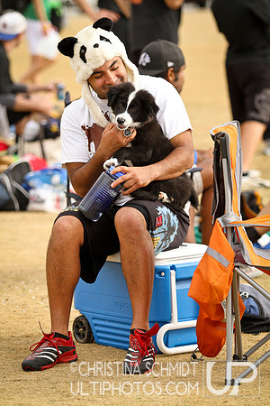 AFDC's 12 Days Hat Tournament -- 2012