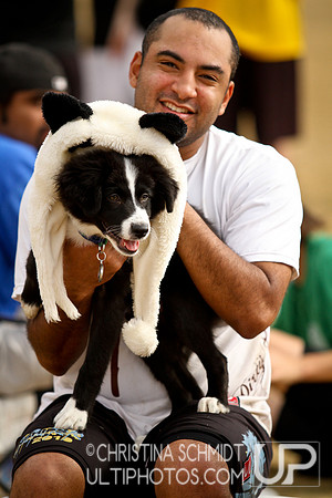 AFDC's 12 Days Hat Tournament -- 2012