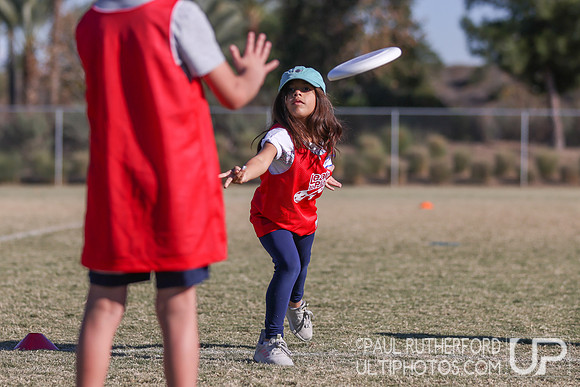 2021 USA Ultimate Division I College Championships