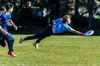Dogwood Bowl 2026