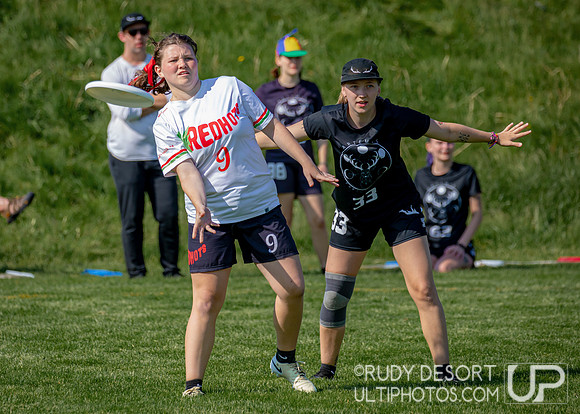 2024 USA Ultimate Division III College Championships ©