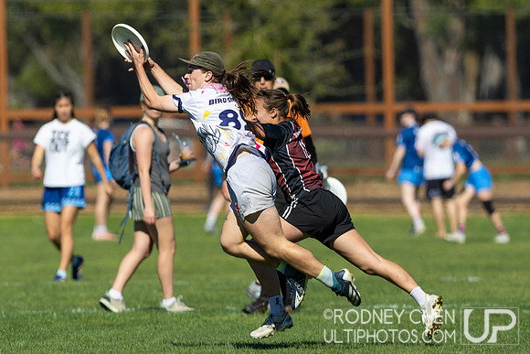 2026 Stanford Invite