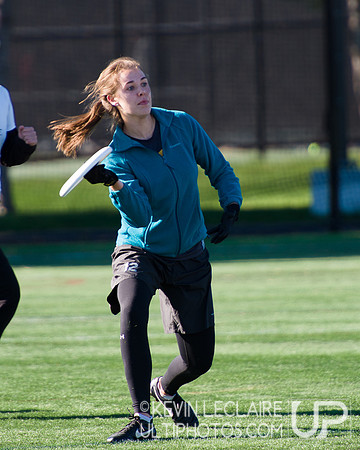 Harvard Ultimate Alumni v. current teams