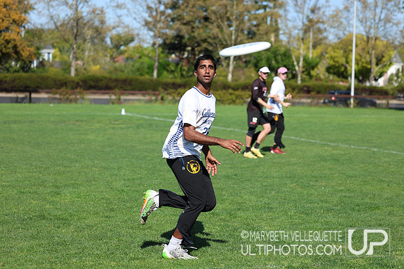 NorCal D1 Conference Championships