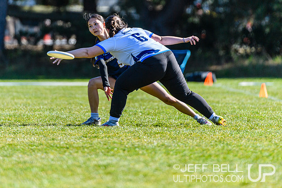 Dogwood Bowl 2026