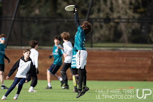 Emerald City Challenge 2026