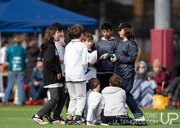 Emerald City Challenge 2026