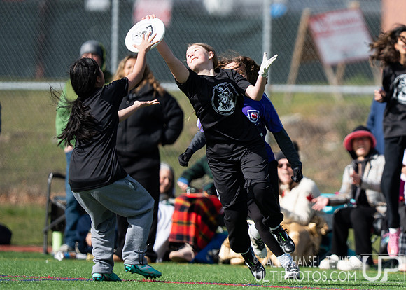 Emerald City Challenge 2026