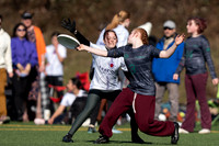 Emerald City Challenge 2026
