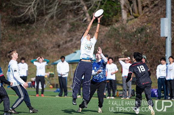 Emerald City Challenge 2026