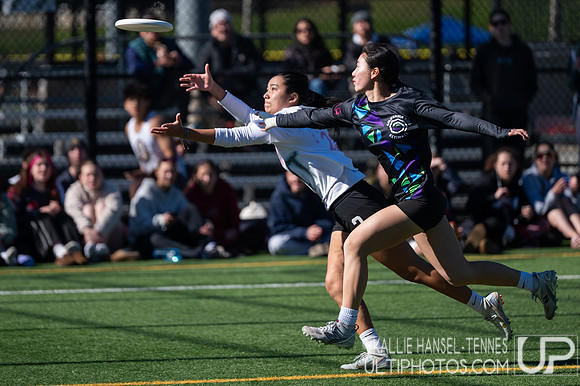 Emerald City Challenge 2026