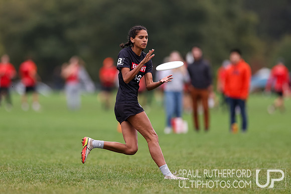 2024 USA Ultimate Northeast Club Regionals