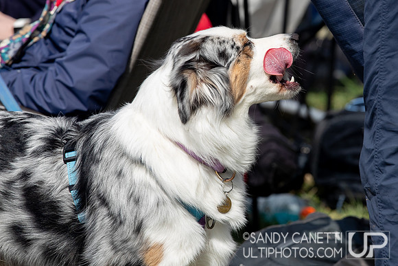 Fools Fest 2023 - Saturday Action