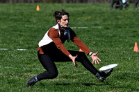 Fools Fest 2026 Saturday