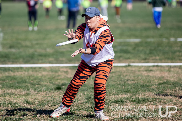 Fools Fest 2023 - Sunday Action