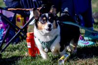 Fools Fest 2023 - Sunday Action