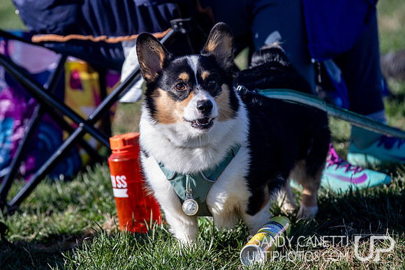 Fools Fest 2023 - Sunday Action