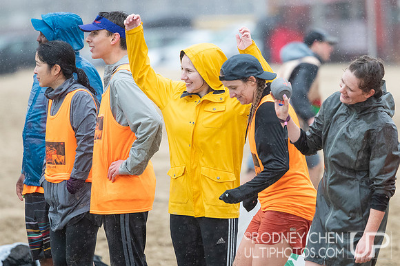 Lei Out 2023