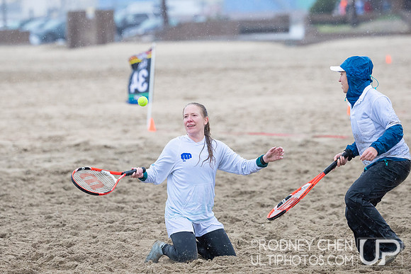Lei Out 2023