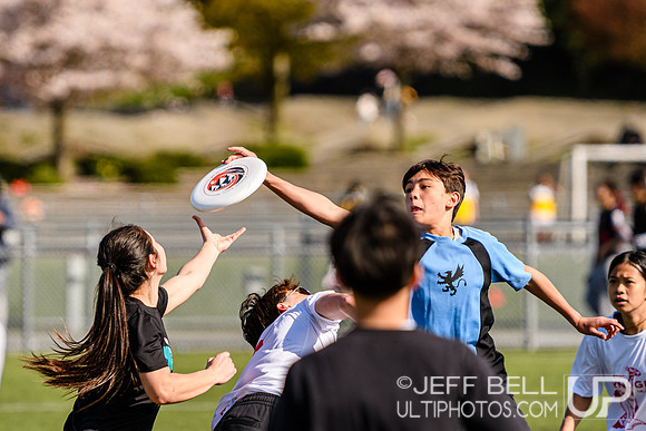 bcu_5x5_jbp_20260404_103138