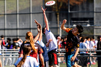 bcu_5x5_jbp_20260404_104530