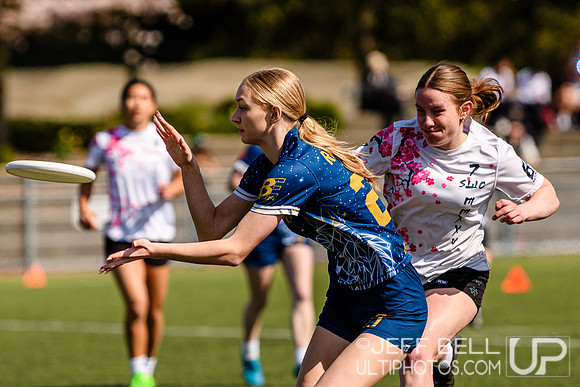 bcu_5x5_jbp_20260404_113500