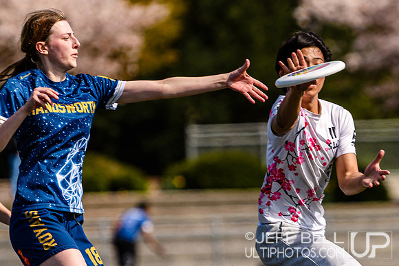 bcu_5x5_jbp_20260404_113918