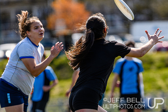 bcu_5x5_jbp_20260404_131918