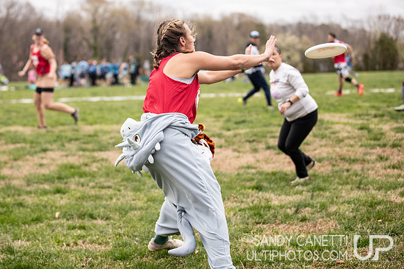 Fools Fest 2026 - Friday Action
