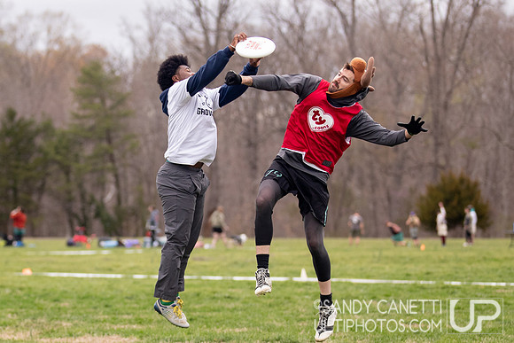 Fools Fest 2026 - Friday Action