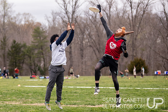 Fools Fest 2026 - Friday Action