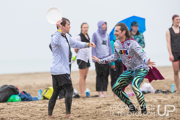 Lei Out 2023