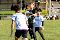 bcu_5x5_jbp_20260404_093547