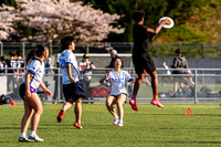 bcu_5x5_jbp_20260404_093852