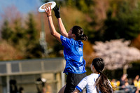 bcu_5x5_jbp_20260404_093955