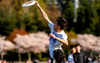 bcu_5x5_jbp_20260404_094112A