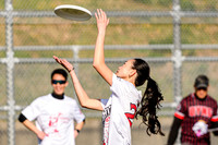 bcu_5x5_jbp_20260404_094154
