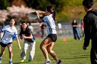 bcu_5x5_jbp_20260404_094200