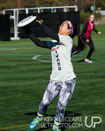 Harvard Ultimate Alumni v. current teams