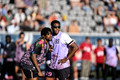 Disc Diversity Showcase 2026 - Full Coverage