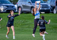 Indy Invite 2026